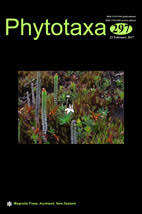 Image result for Chlorophytum gallabatense