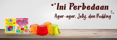 1 x 13g packet agar agar powder 200g sugar 60 ml thick coconut milk 875 ml water 2 egg yolks a pinch of. Ini Perbedaan Agar Agar Jelly Dan Puding