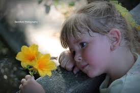 Beckfield Photography