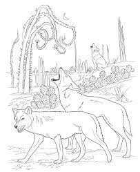We did not find results for: Free Printable Coyote Coloring Pages For Kids
