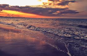 Sunset Evening Tanzania Ocean Ocean Tides Coastal Area Bagamoyo Sea Water Sky Pxfuel When teachers explain ocean tides, they frequently describe how the moon's gravity pulls on earth and all of its water. sunset evening tanzania ocean ocean