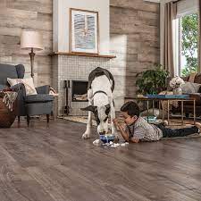 When it comes to flooring, vinyl plank is one of the best options for both you and your furry friends. How To Choose The Best Flooring For Dogs The Home Depot