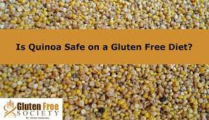 Pin On No Grain No Pain