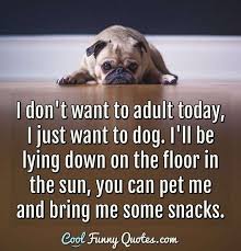 'no, _ a car but i want to learn.' a. Funny Not Wanting To Work Today Quotes Life Quotes Cool Funny Quotes Dogtrainingobedienceschool Com