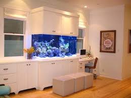 Aquarium Fish Advisor Fish Tank Wall Home Fish Tank Design