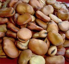 Look through examples of broad bean translation in sentences, listen to pronunciation and learn grammar. Broad Beans Facts Health Benefits And Nutritional Value