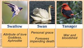 Birds And Their Meanings Pretty Enthralling Bird Symbolism And Their Meanings Animal Medicine Animal Spirit Guides Bird Meaning