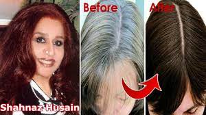 Diy skincare tips for that festive glow this diwali, courtesy shahnaz husain; Shahnaz Husain Hair Tips For Grey Hair Permanently Turn Grey White Hair Into Black Hair Priya Malik Youtube