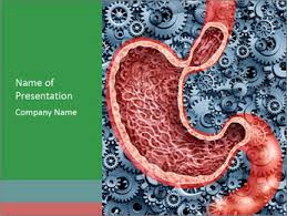 Empty reply does not make any sense for the end user. Digestive System Powerpoint Template Smiletemplates Com