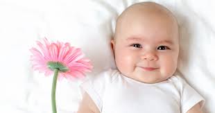 • white magnolia (magnolia grandiflora): 30 Flower Girl Names For 2019 Pick The Prettiest Floral Name For Baby