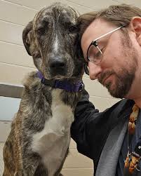 ICYMI: That lovable tri-pawd, Minnie Mouse, is back