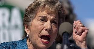Illinois Rep. Jan Schakowsky retiring at end of term, not running for  reelection in 2026