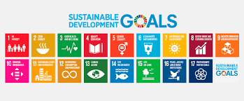 Unric produces sdg materials in 13 languages. The Sdgs Human Development Forum
