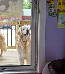 May 05, 2021 · the pet place. My Best Friend S Barkery Banner Elk Nc