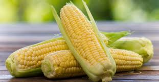 Image result for corn on the cob a few rows missing