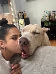 How often do you clip your Mio's nails. Delilah's appear to grow really  quickly...and does anyone have experience of the electric files you can  find