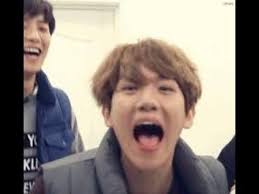 Free Online Youtube Downloader Download Youtube Videos Facebook And Many Others Exo Funny Moments Exo Funny Funny Moments