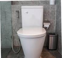 Homoyoyo Remplacement Du Levier de Chasse D'eau Du Réservoir de Toilette  Poignée de Montage Latérale Facile à Installer pour Levier de Chasse D'eau  ...