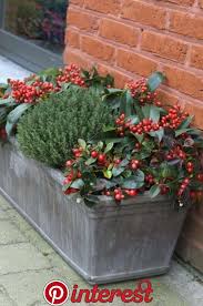 Jardiniere D Hiver Les Meilleurs Idees Pour Valoriser L Espace Exterieur Vous Voulez Enjoliver Votre Espace Jardinieres D Hiver Bulbes De Printemps Jardins