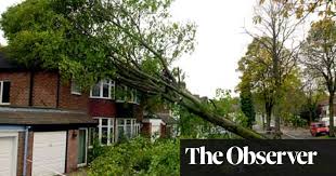 Here's a complete guide of roof insurance and how to file a homeowners insurance claim for if you have a damaged roof, you're likely going to have problems within your home that will lead to more claims. Home Insurance An Ill Wind Blows Off Both A Roof And A Policy Claim Home Insurance The Guardian