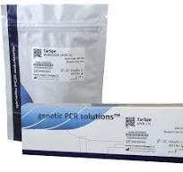 Rabies virus qPCR kit - GENETIC PCR SOLUTIONS®