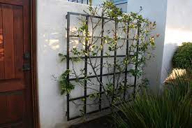Metal trellis obelisk a unique black metal garden trellis obelisk that we will suit all gardens modern and traditional. Garden Metalwork Long Lasting Trellis