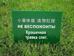 images?q=tbn:ANd9GcS_P6Cn9BqSPsjpoKPmjClZ-wJ0fWcKqVND-FQk8OijpiD3FOcH