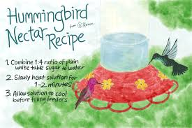 Here you may to know how to mix hummingbird food. Classic And Safe Hummingbird Nectar Recipe