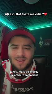 sakecsf #sakevacanta #sakededicatii #viral #tiktok #nitoiuregele #rom...  TikTok
