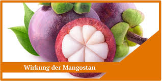 This information is not specific medical advice and does not replace information you receive from your health care provider. Mangostan Frucht Wirkung Geschmack Erfahrung Kaufen