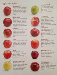 Different Types Of Apples Cooking Uses For Them Apple Recipes Cooking Measurements Food