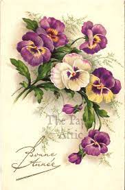 Pansies Pansy Antique Vintage French Chromo Postcard Vintage Flowers Flower Art Pansies