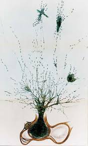 Image result for Cyperus trigonellus