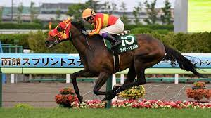 まず、google クラウド プリントを使用できるようにプリンタを設定します。 1x1 の広告申込情報のターゲットに、ステップ 1 で作成した広告ユニットを設定します。 2019å¹´ å‡½é¤¨ã‚¹ãƒ—ãƒªãƒ³ãƒˆã‚¹ãƒ†ãƒ¼ã‚¯ã‚¹ Jra