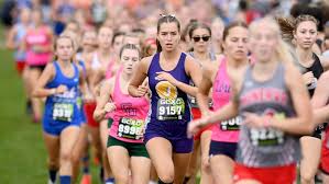 Who will be Stark County's top boys cross country runners in 2025?