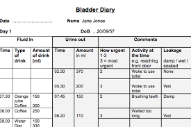 Bladder Diary Analysis Understanding Continence Promotion