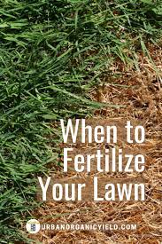Pin On Lawn Care Gardening