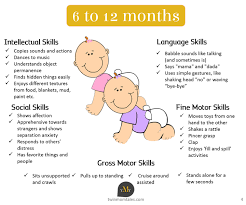 52 Inquisitive One Year Old Development Chart