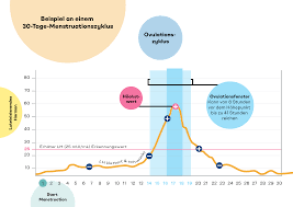 Eisprung im zyklus wann ist der beste zeitpunkt, um schwanger zu werden? Fruchtpaar Ch Ovulationstests Empfindlichkeiten Verstehen