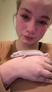 Pet Leopard Gecko Owner Shares Emotional Experience of Saying Goodbye