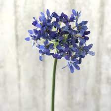 Shop our weekly sale & save 10% off select high quality wholesale priced items. Luxury Single Stems Artificial Flowers Amaranthine Blooms Uk