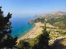 Image result for Thamnosma rhodesica