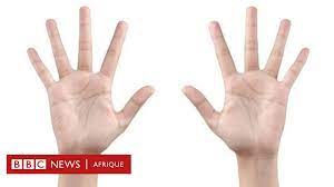 Annulaire plus long que l'index. La Taille Des Doigts Determine L Orientation Sexuelle Chez Les Femmes Bbc News Afrique
