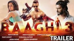 Image result for baaghi 3