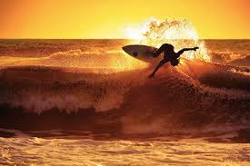 Image result for Surfing