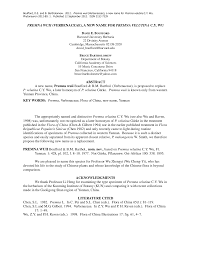 Image result for Premna velutina