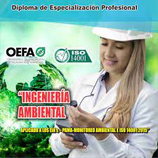 En esta fecha se fundó el colegio de ingenieros de ese país, misma entidad que institucionalizó esta celebración. Cacp Peru Diploma De Especializacion Profesional Ingenieria Ambiental