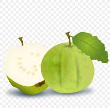 Juice Common Guava Fruit Png 800x800px Juice Apple Common Guava Drawing Food Download Free Guava juice keeps you hydrated and is a delicious source of guava is great for your digestive system and acts as a natural laxative since it is a rich source of fibres. juice common guava fruit png