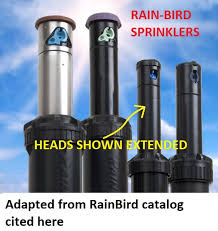 High Treatment Effluent Spray Dispersal Septic Systems