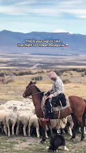 Image result for tbn:Qm8QJA0FQGkeJM::www.trekkingchile.com/Images/mis_fotos/1201890604.jpg